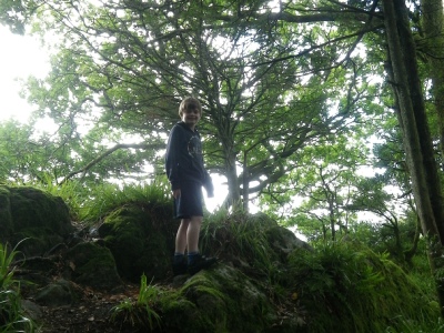 Wild garlic on Wild Cat island